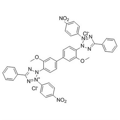 Nitro Glas Tetrazolium Clorid (NBT), Reag. CAS 298-83-9